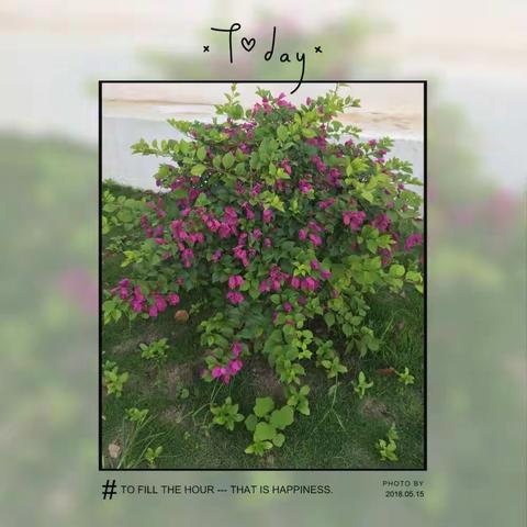 润德于心     化善于行      那大镇中心学校2018年春季学期第十二周值日侧记