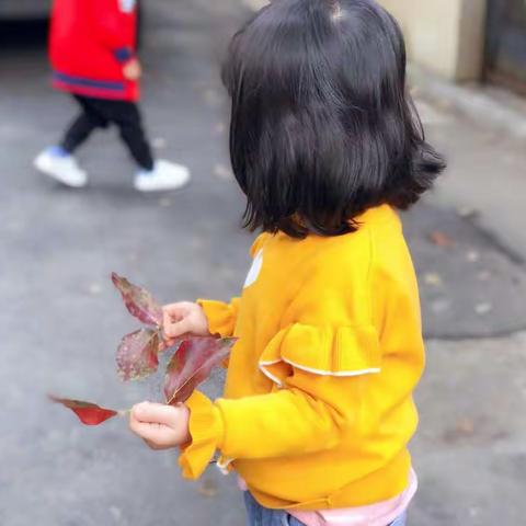 东方明珠小二班缤纷主题--《寻秋天，捡落叶》🍂🍂🍂