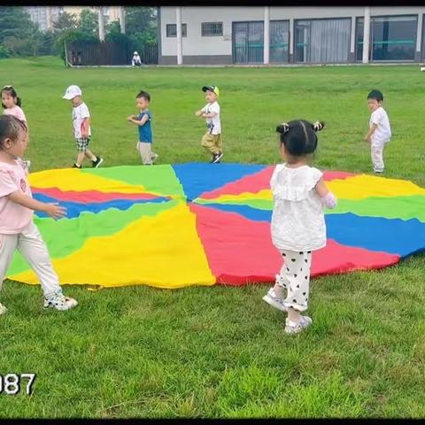 【云帆幼儿园托班】7月份融合式主题活动《顽皮一夏》第二周精彩回顾