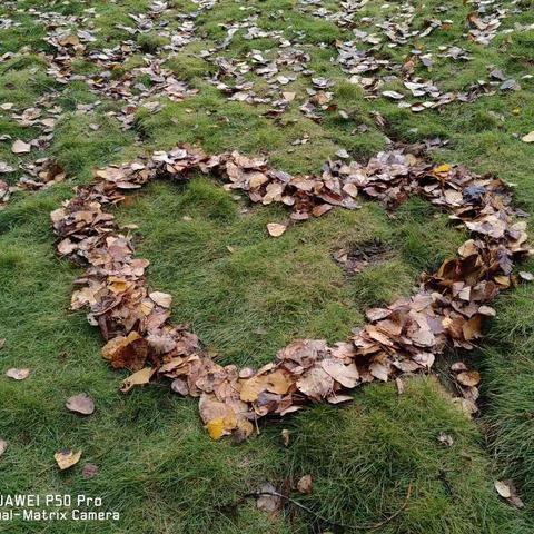 秋日的林间一（4）班张夏菡小朋友