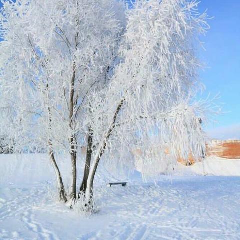 2018的第一场大雪，美，爽。