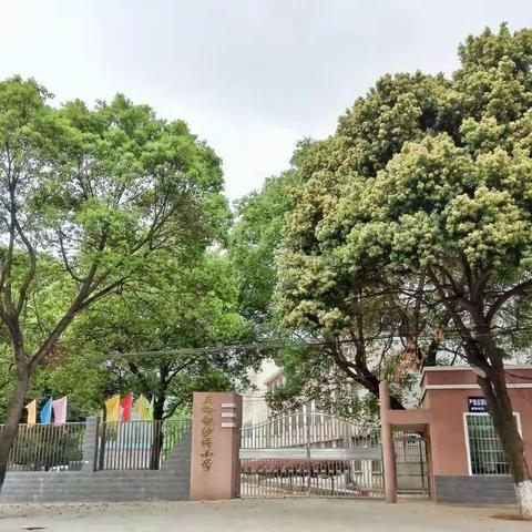 五岭镇沙坪小学喜迎省“两项督导评估”专家组评估检查