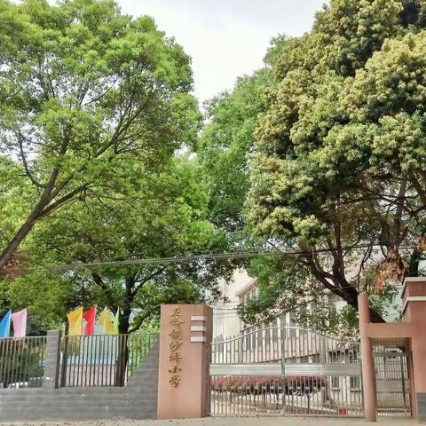 立志 求实 好学 创新——五岭镇沙坪小学2017年上期学校活动开展剪影