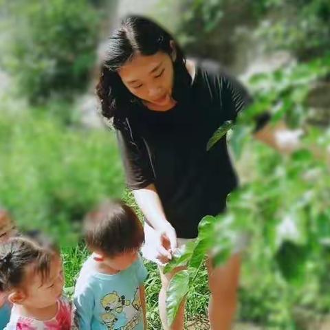 送给鑫鑫老师的教师节礼物