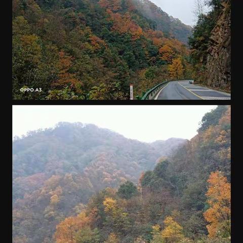 光雾山（2）风景在路上