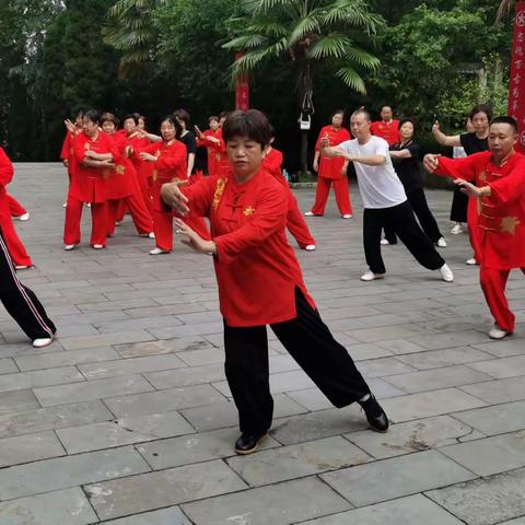 缘于太极          情深似海
