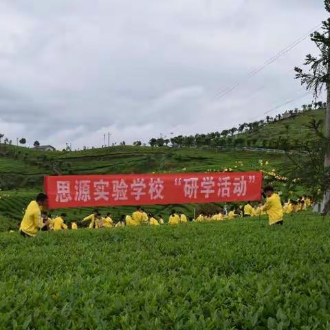 思源实验学校张家寨茶山研学活动