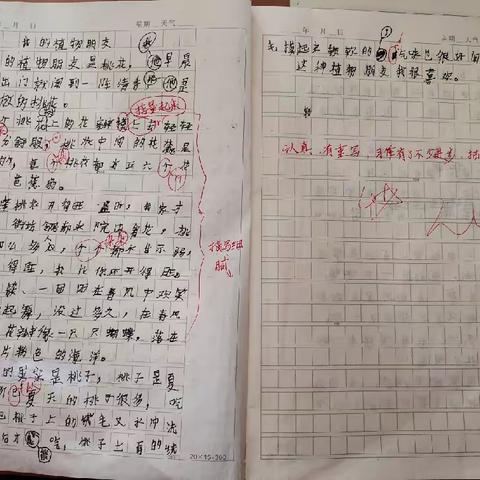 看同学的习作学修改自己的习作（三13班）1