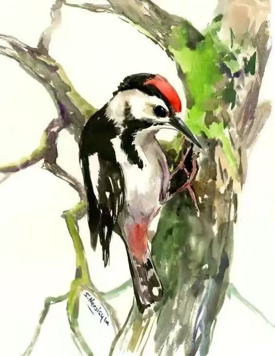 水彩画素材(鸟)