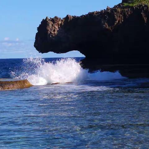 :塞班島鳄鱼i弯