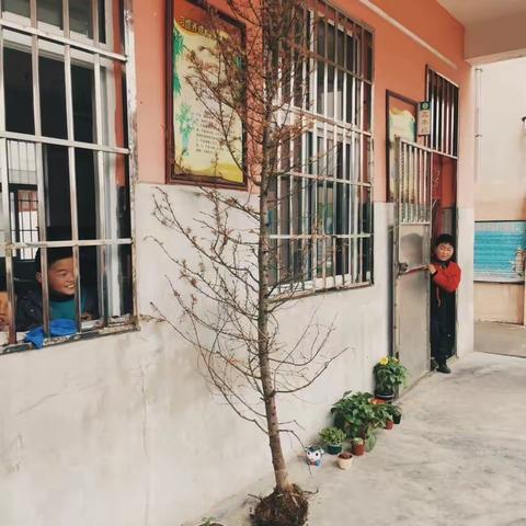 双减同行 陪伴成长 拥抱春天 播种绿色