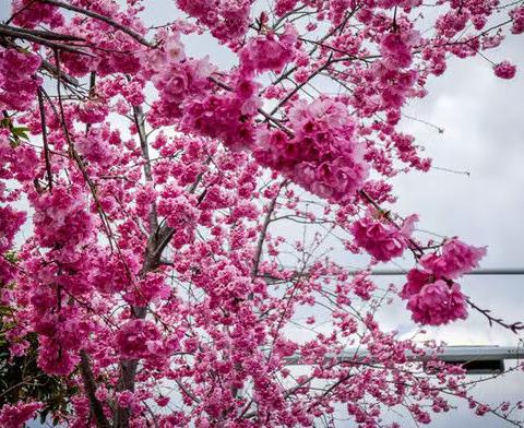 爱在家访路上延续