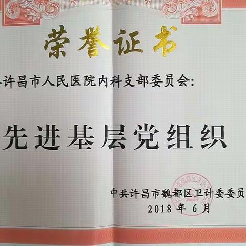 许昌市人民医院先进基层党组织优秀党务工作者优秀党员荣获魏都区卫计委表彰