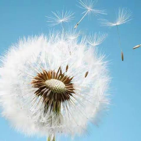 许昌市人民医院会同魏都区卫计委开展“七一”为老党员送温暖活动