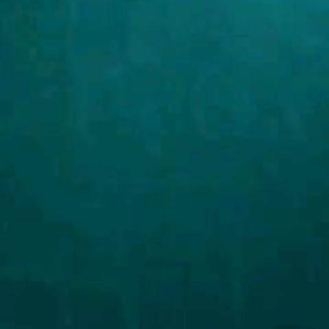 “一句话”嵌入心扉，一股力凝聚精神～～第三小学老师们的剪录