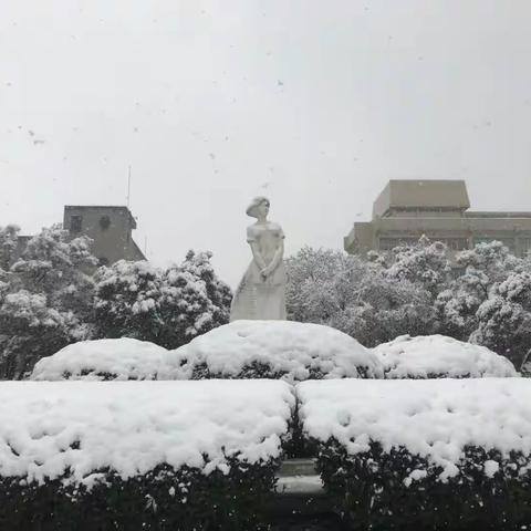 《玉楼春.观雪》