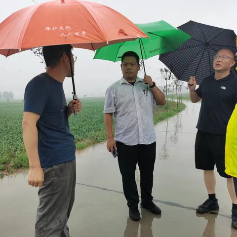 战风雨保通信—网络部分会全力做好汛期通信保障工作