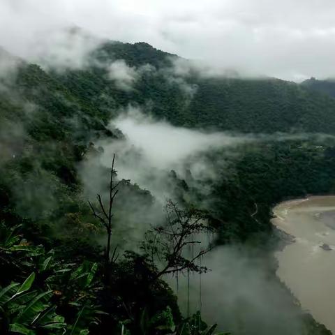 变化莫测果果塘大拐弯