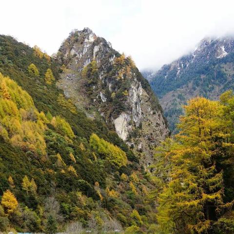 秋色（日隆镇～成都沿途风景）