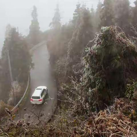 2018年的第一场冰雨