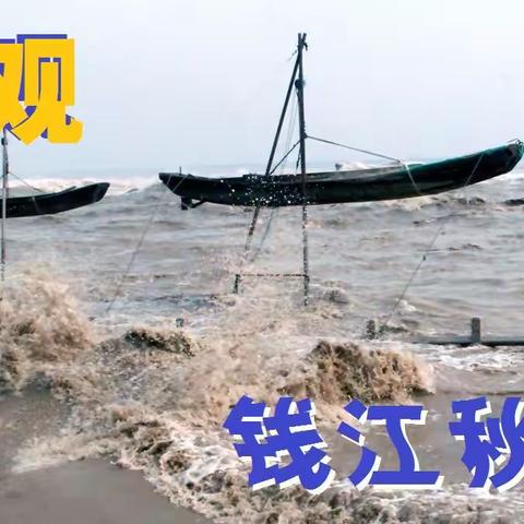 奇观：钱江秋涛