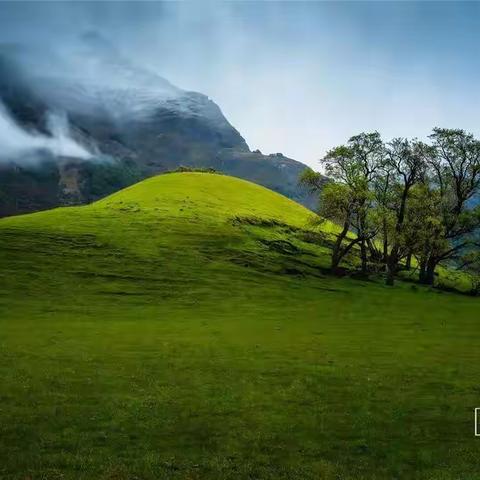 新西兰风景