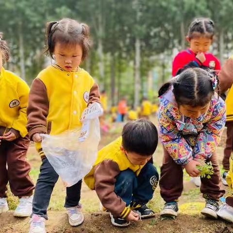 一粒小种子，收获大幸福——小五班种植篇