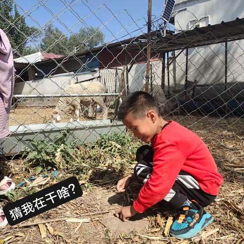我小学生涯的第一个国庆节