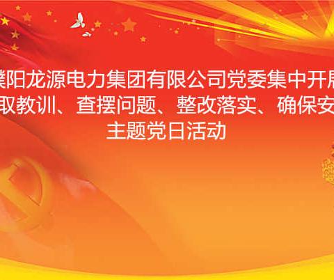 濮阳龙源电力集团有限公司党委开展“汲取教训、查摆问题、整改落实、确保安全”主题党日活动