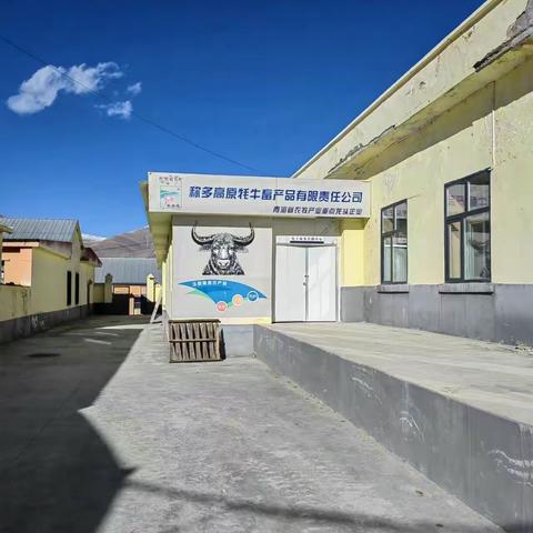 河南商会调研报告