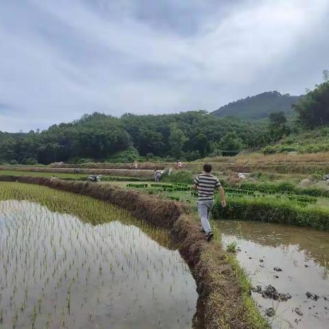 青松执法中队巡查秸秆焚烧工作