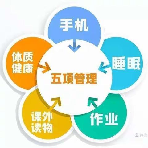 记二一班五项管理周活动