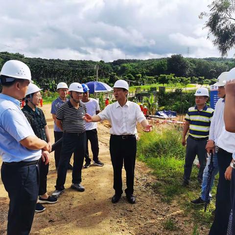 省水务厅厅长王强调研红岭田间工程建设进展