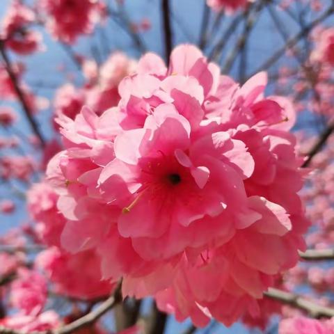 三尺讲台竞风采，砥砺前行展芳华