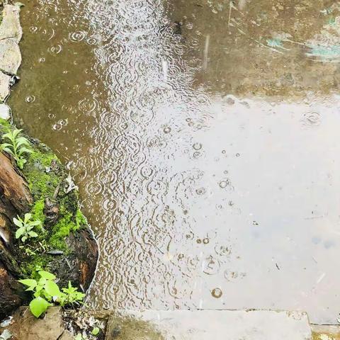 雨季行车需谨慎