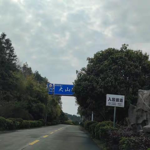 游长沙大山冲森林公园