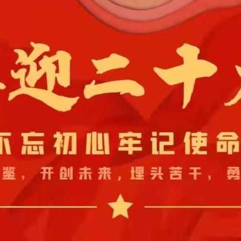 “喜迎二十大 永远跟党走” 主题党日、团日活动（二）