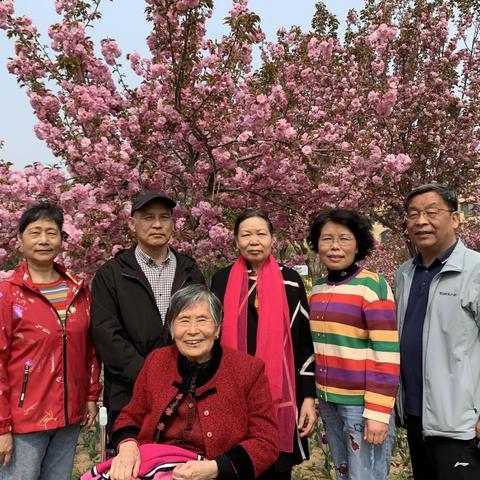 醉美樱城一鹤壁