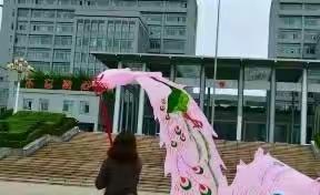 家乡夜景美如画