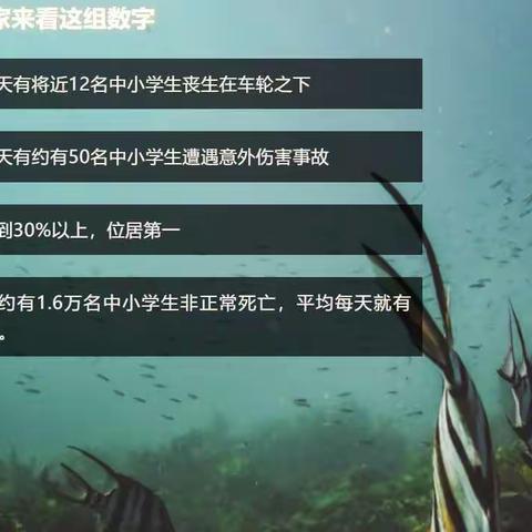 安全伴我行——海南省农垦直属第二小学第六周安全教育