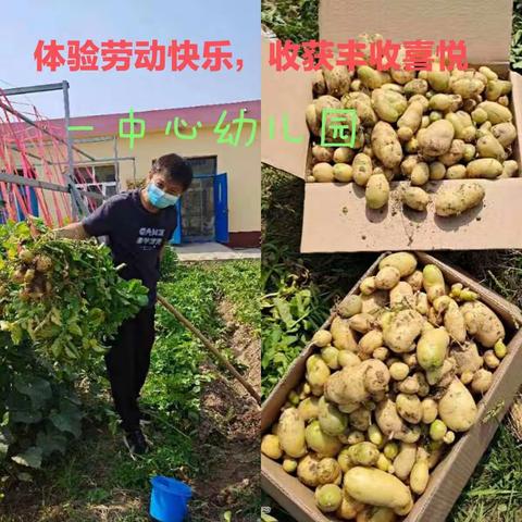 青青菜园、喜获丰收