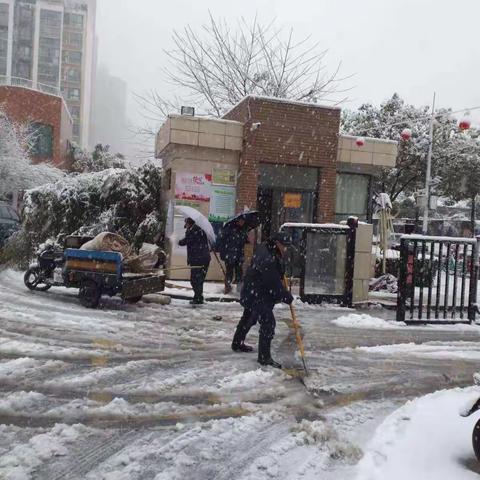 正月瑞雪纷飞至，物业清雪平安路