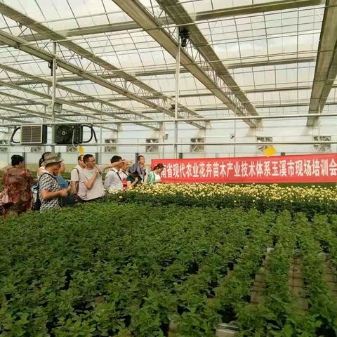 玉溪市农科院花卉产业技术体系现场培训会