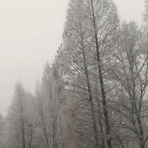 2018年第一场雪