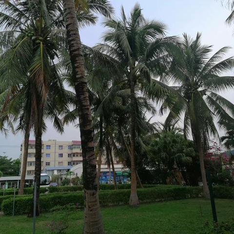 海南之旅（二）