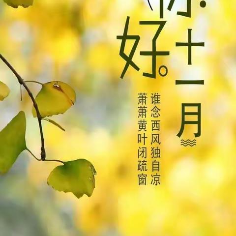 金仕公馆11月份工作总结