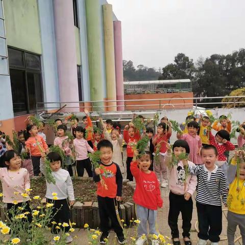 江海区滘北幼儿园小一班植物成长记录