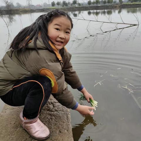 龚妍的寒假生活