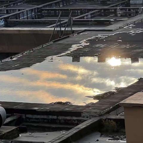 九十班德育作业