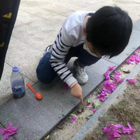 团结的小蚂蚁🐜